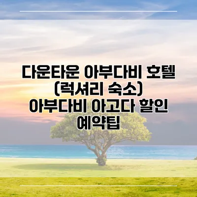 다운타운 아부다비 호텔 (럭셔리 숙소) 아부다비 아고다 할인 예약팁