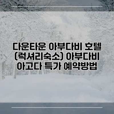 다운타운 아부다비 호텔 (럭셔리숙소) 아부다비 아고다 특가 예약방법