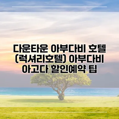 다운타운 아부다비 호텔 (럭셔리호텔) 아부다비 아고다 할인예약 팁