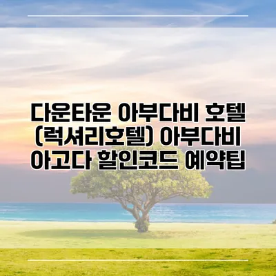 다운타운 아부다비 호텔 (럭셔리호텔) 아부다비 아고다 할인코드 예약팁
