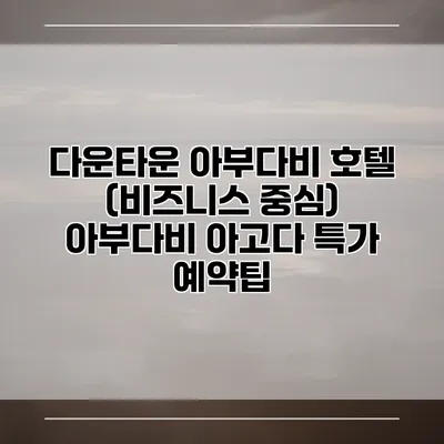 다운타운 아부다비 호텔 (비즈니스 중심) 아부다비 아고다 특가 예약팁