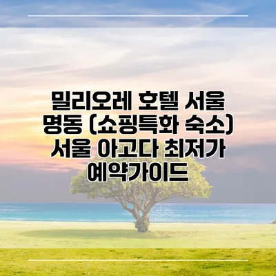 밀리오레 호텔 서울 명동 (쇼핑특화 숙소) 서울 아고다 최저가 예약가이드