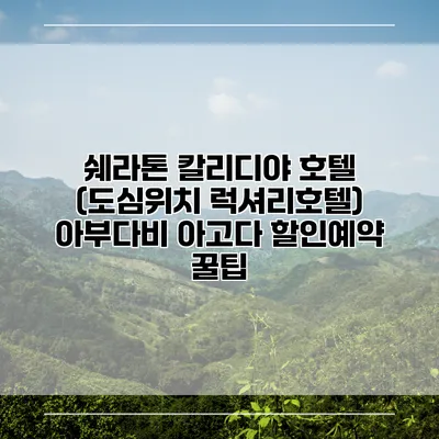 쉐라톤 칼리디야 호텔 (도심위치 럭셔리호텔) 아부다비 아고다 할인예약 꿀팁