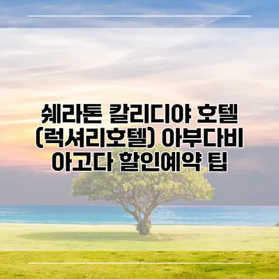 쉐라톤 칼리디야 호텔 (럭셔리호텔) 아부다비 아고다 할인예약 팁