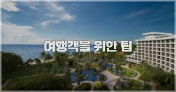 여행객을 위한 팁