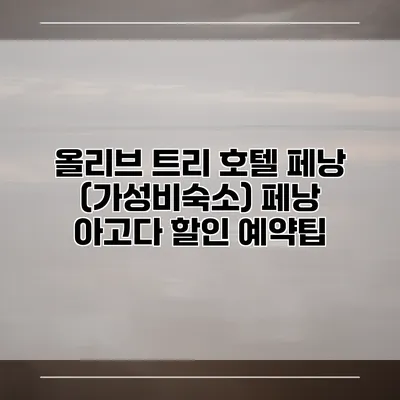 올리브 트리 호텔 페낭 (가성비숙소) 페낭 아고다 할인 예약팁