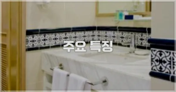 ✨ 주요 특징
