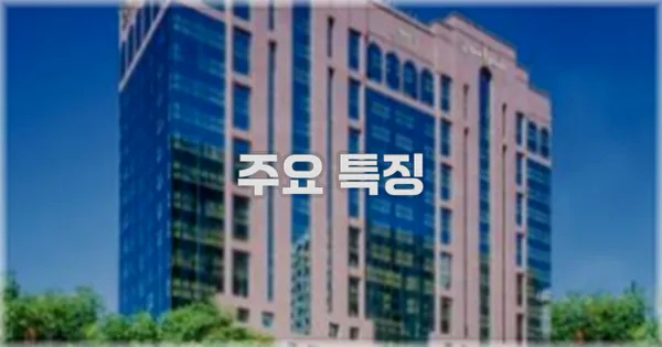 ✨ 주요 특징