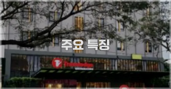 ✨ 주요 특징