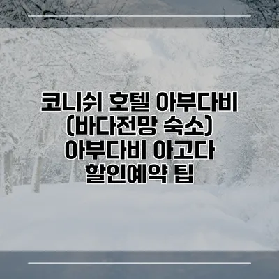 코니쉬 호텔 아부다비 (바다전망 숙소) 아부다비 아고다 할인예약 팁