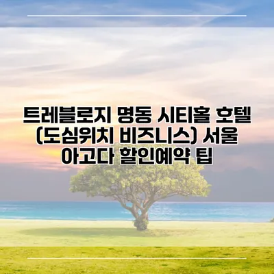 트레블로지 명동 시티홀 호텔 (도심위치 비즈니스) 서울 아고다 할인예약 팁