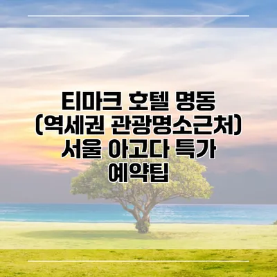 티마크 호텔 명동 (역세권 관광명소근처) 서울 아고다 특가 예약팁