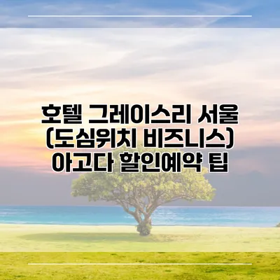 호텔 그레이스리 서울 (도심위치 비즈니스) 아고다 할인예약 팁