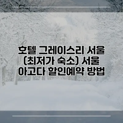 호텔 그레이스리 서울 (최저가 숙소) 서울 아고다 할인예약 방법
