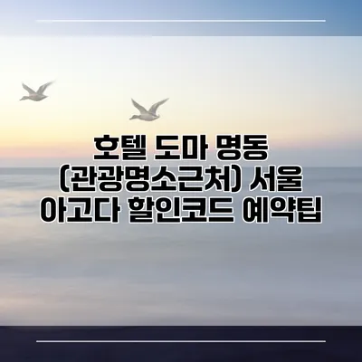 호텔 도마 명동 (관광명소근처) 서울 아고다 할인코드 예약팁