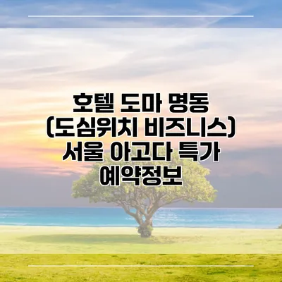 호텔 도마 명동 (도심위치 비즈니스) 서울 아고다 특가 예약정보