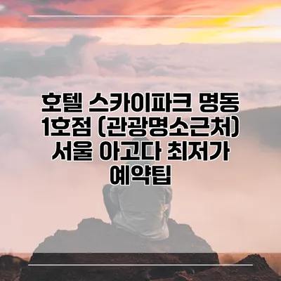 호텔 스카이파크 명동 1호점 (관광명소근처) 서울 아고다 최저가 예약팁
