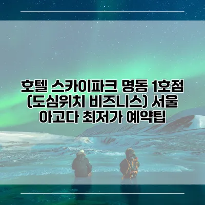호텔 스카이파크 명동 1호점 (도심위치 비즈니스) 서울 아고다 최저가 예약팁