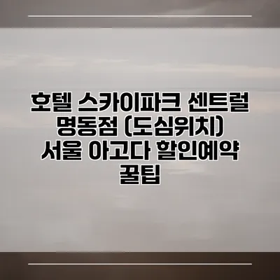 호텔 스카이파크 센트럴 명동점 (도심위치) 서울 아고다 할인예약 꿀팁