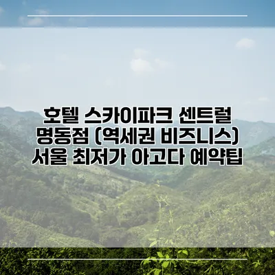 호텔 스카이파크 센트럴 명동점 (역세권 비즈니스) 서울 최저가 아고다 예약팁